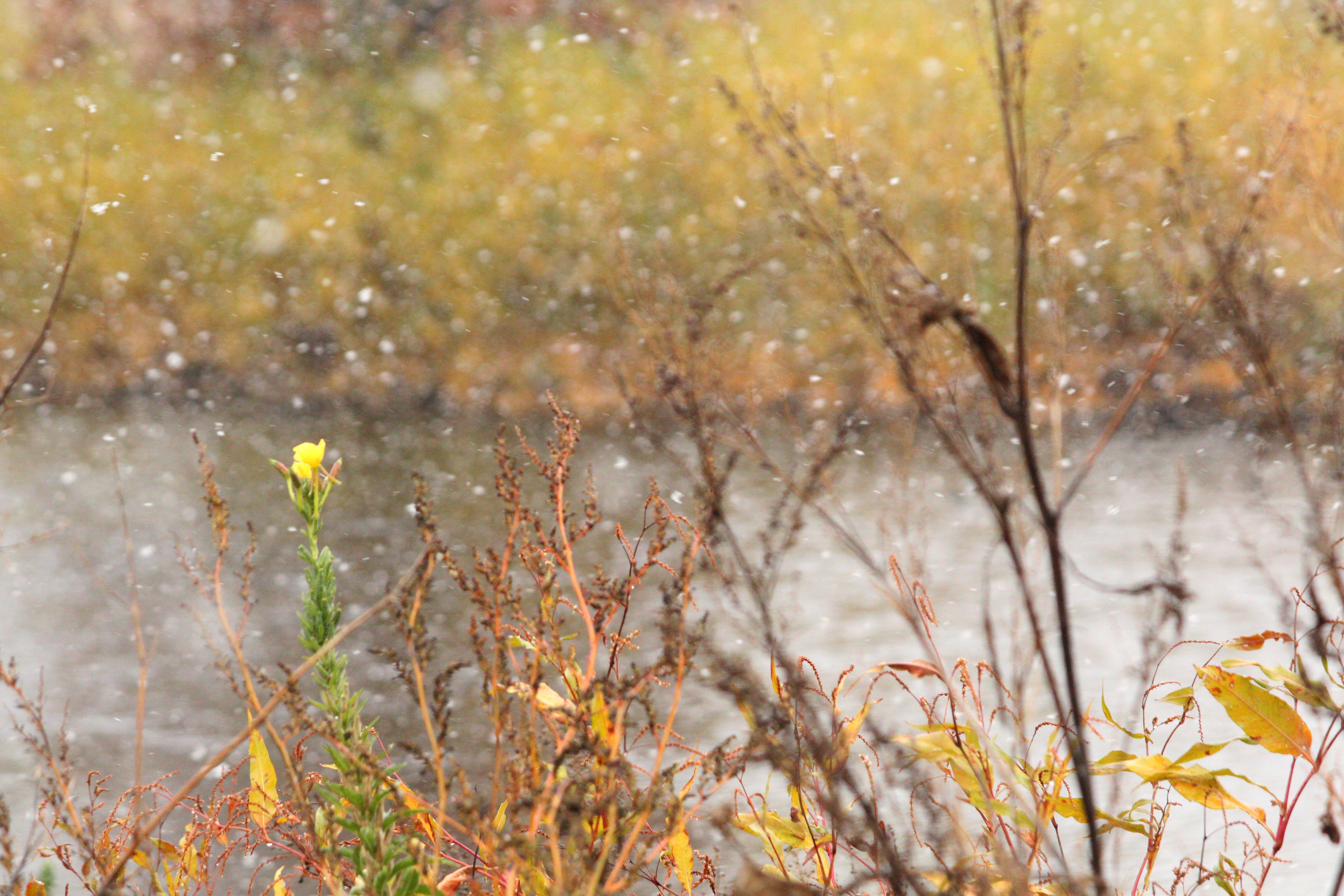 Snowing at Richfield Lake